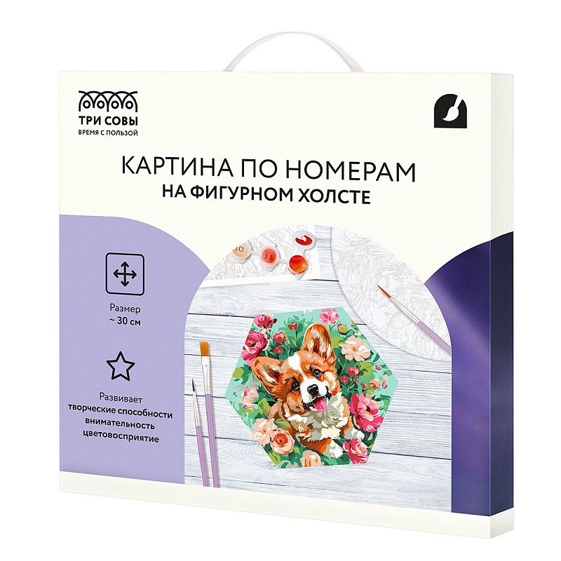 Картина по номерам на фигурном холсте ТРИ СОВЫ "Корги в цветах", форма многоугольник, с акриловыми красками и кистями