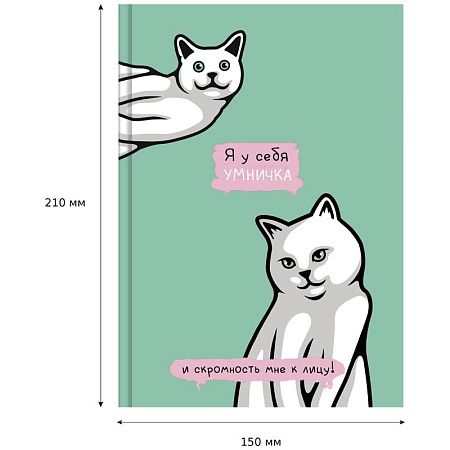 Скетчбук 80л., А5 7БЦ BG "Я у меня умничка", матовая ламинация, белый блок с градиентом, 100г/м2