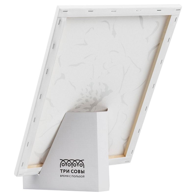 Картина по номерам на холсте с глиттером ТРИ СОВЫ "Серебро на цветке", 30*40, с акриловыми красками и кистями