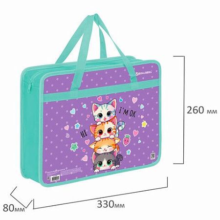 Папка на молнии с ручками BRAUBERG А4, 1 отделение, пластик, 80 мм, "Funny kittens", 273368 