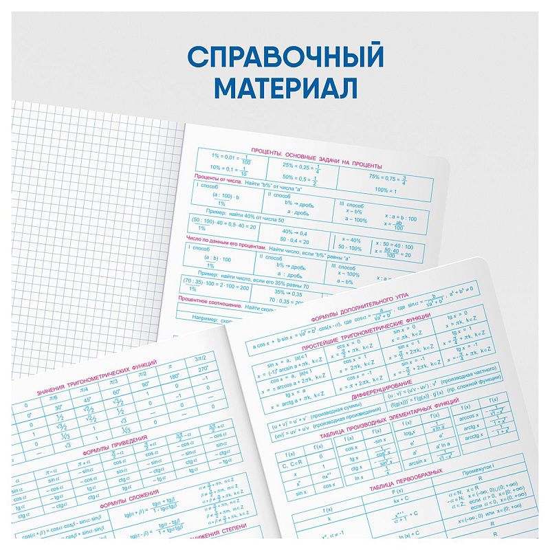 Комплект (10 шт.) предметных тетрадей 48л. BG "Хочу все знать!", эконом