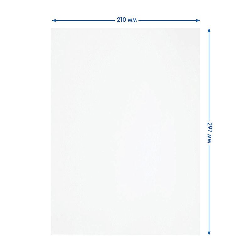 Папка для акварели, 10л., А4 Мульти-Пульти "Енот в Волшебном мире", 200г/м2