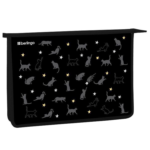 Папка для тетрадей 1 отделение, А4 Berlingo "MEOW Galaxy", 340*245*40 мм, пластик, на молнии