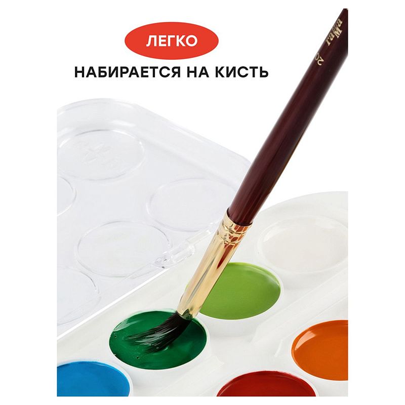 Акварель Гамма "Мультики" NEW, медовая, 12 цветов, без кисти, пластик. упак., европодвес