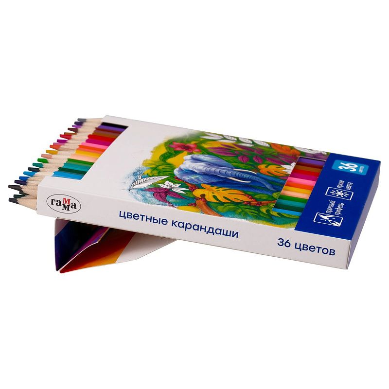 Карандаши цветные Гамма "Классические", 36цв., заточен., картон. упак., европодвес