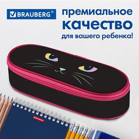 Пенал-футляр BRAUBERG, 1 отделение, органайзер, полиэстер, 22x9x5 см, "Cat eye", 271585 