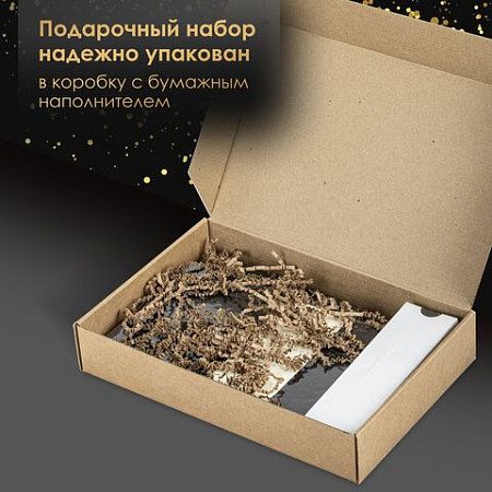 Ручка перьевая PARKER "IM Achromatic Black BT", ежедневник А5 черный, пакет, 880901 