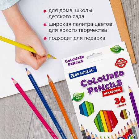 Карандаши цветные BRAUBERG PREMIUM, 36 цветов, шестигранные, грифель мягкий 3,3 мм, 181659