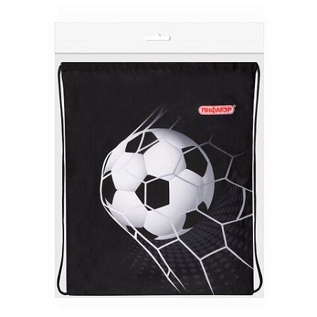 Мешок для обуви ПИФАГОР, 1 отделение, 40х32 см, Ball kick, 272386 