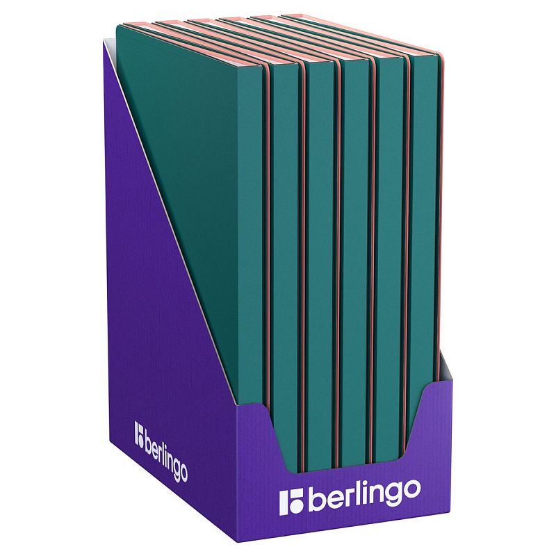 Папка с 20 вкладышами Berlingo "Soft Touch Pro", 17мм, 700мкм, с внутр. карманом, зеленая, внутр. розовая, софт-тач 