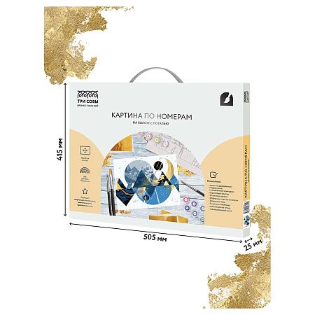 Картина по номерам на холсте ТРИ СОВЫ "Абстракция", 40*50, с поталью, акриловыми красками и кистями
