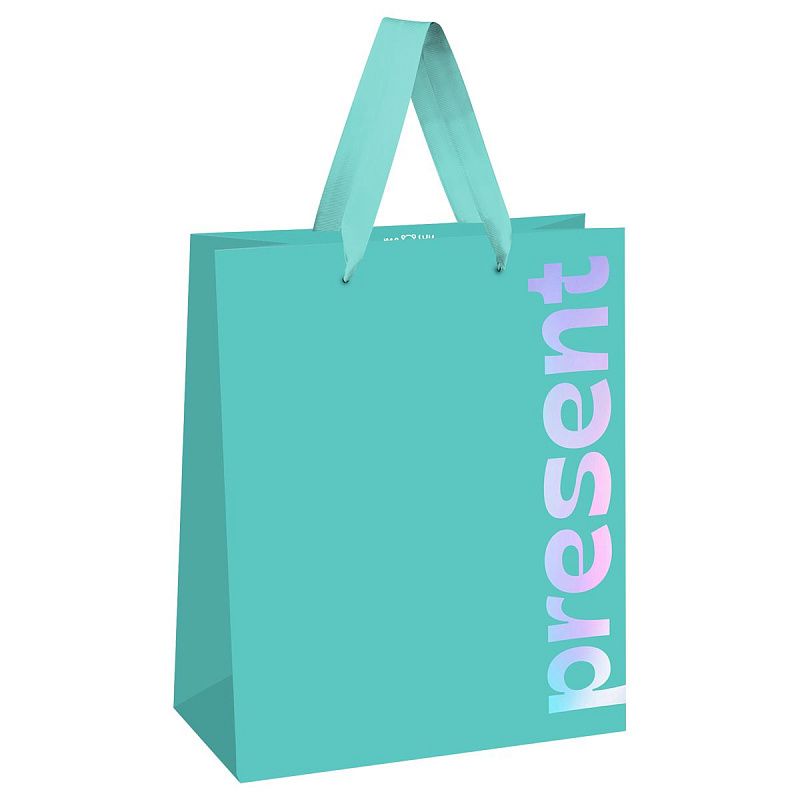 Пакет подарочный 26*32*12см MESHU "Bright present", фольга, матовая ламинация