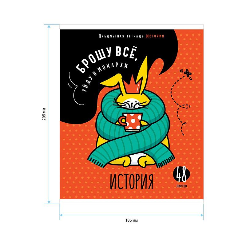 Тетрадь предметная 48л. ArtSpace "Мысли вслух"- История, эконом