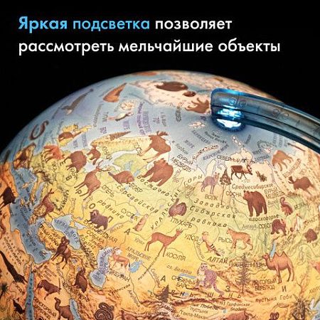 Глобус интерактивный + очки VR, зоогеографический, GLOBEN, 25см, с подсветкой, INT12500306 