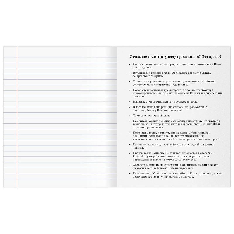 Тетрадь предметная 48л. BG "Юный гений" - Литература, эконом