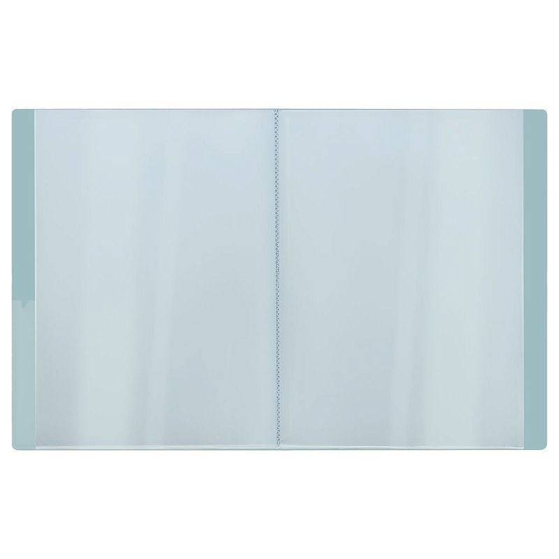 Папка с 20 вкладышами СТАММ "Акцент" А4, 14мм, 800мкм, пластик, эвкалиптовая 