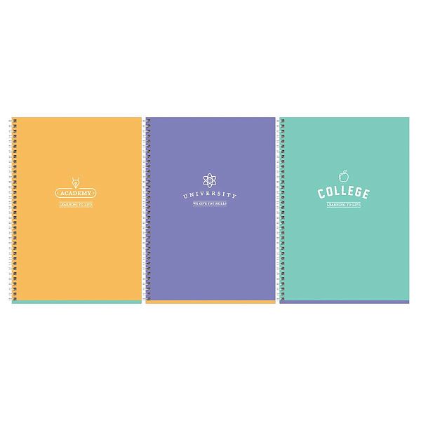 Тетрадь 80л., А4, клетка, на гребне BG "Academy", soft-touch ламинация