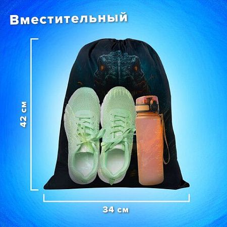 Мешок для обуви BRAUBERG KIDS, с петлей, 42х34 см, "Dino chase", 272416 