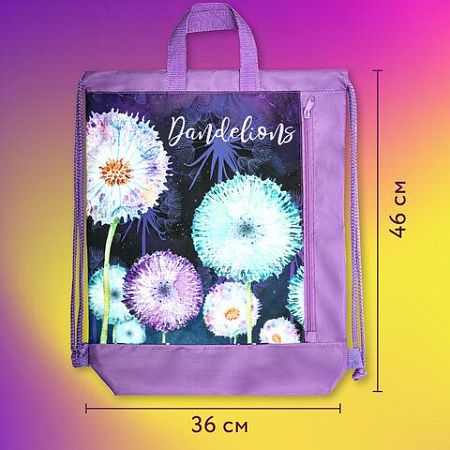 Мешок для обуви ЮНЛАНДИЯ с ручками, боковой карман на молнии, 46х36 см, "Flowers", 271065 