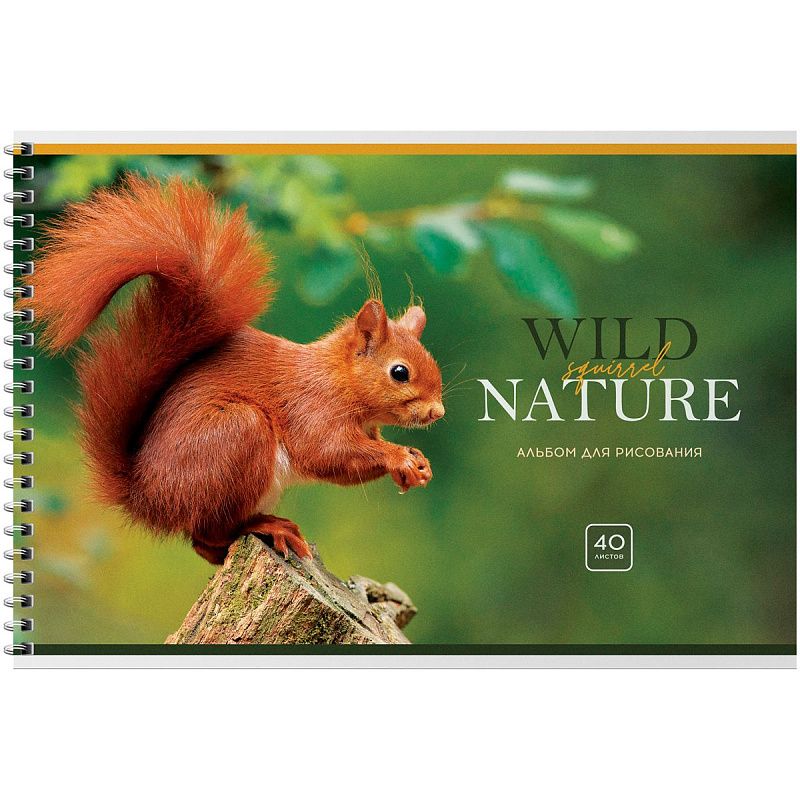 Альбом для рисования 40л., А4, на гребне BG "Wild nature"