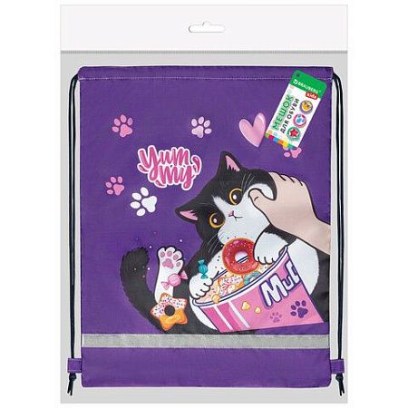 Мешок для обуви BRAUBERG KIDS, с петлей, светоотражающая полоса, 46х36 см, Sweet cheeks, 272390 