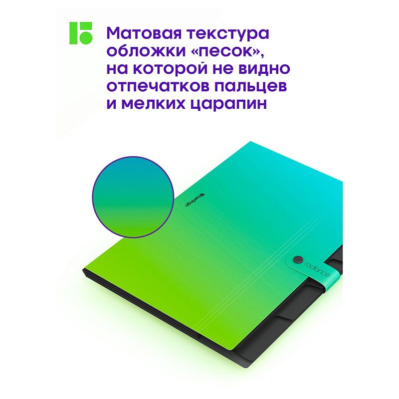 Папка 5 отделений Berlingo "Radiance", А4, 600мкм, на кнопке, голубой/зеленый градиент 