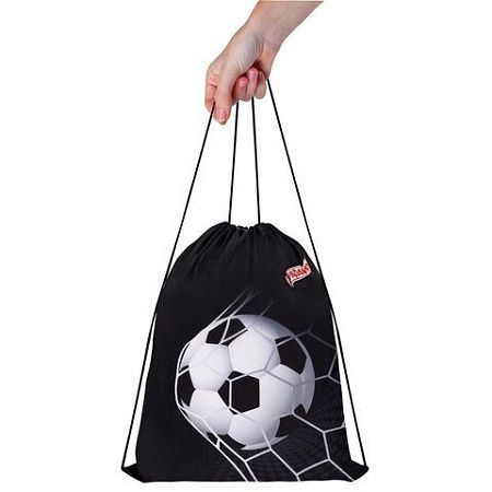 Мешок для обуви ПИФАГОР, 1 отделение, 40х32 см, Ball kick, 272386 