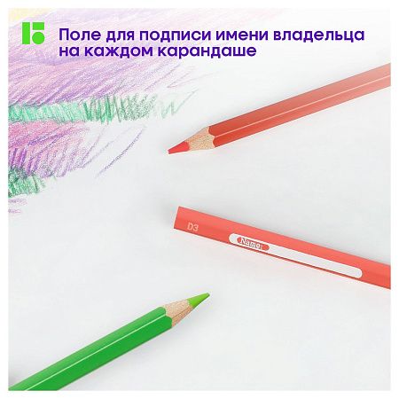 Карандаши цветные Berlingo "SuperSoft. Замки", 12цв., заточен., картон, европодвес