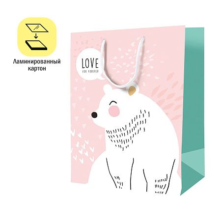 Пакет подарочный 18*23*10см ArtSpace "Love you forever", ламинированный
