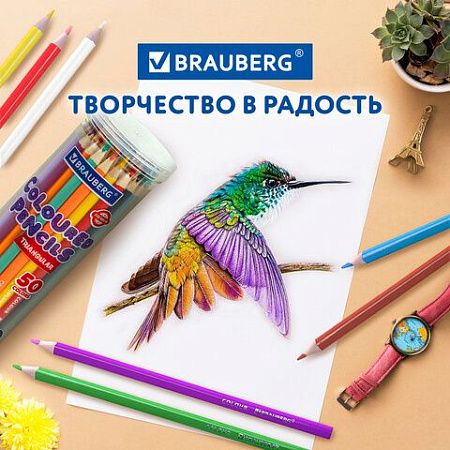Карандаши цветные BRAUBERG PREMIUM 50 цветов в тубе, трехгранные, мягкий грифель 3,3 мм, 181935