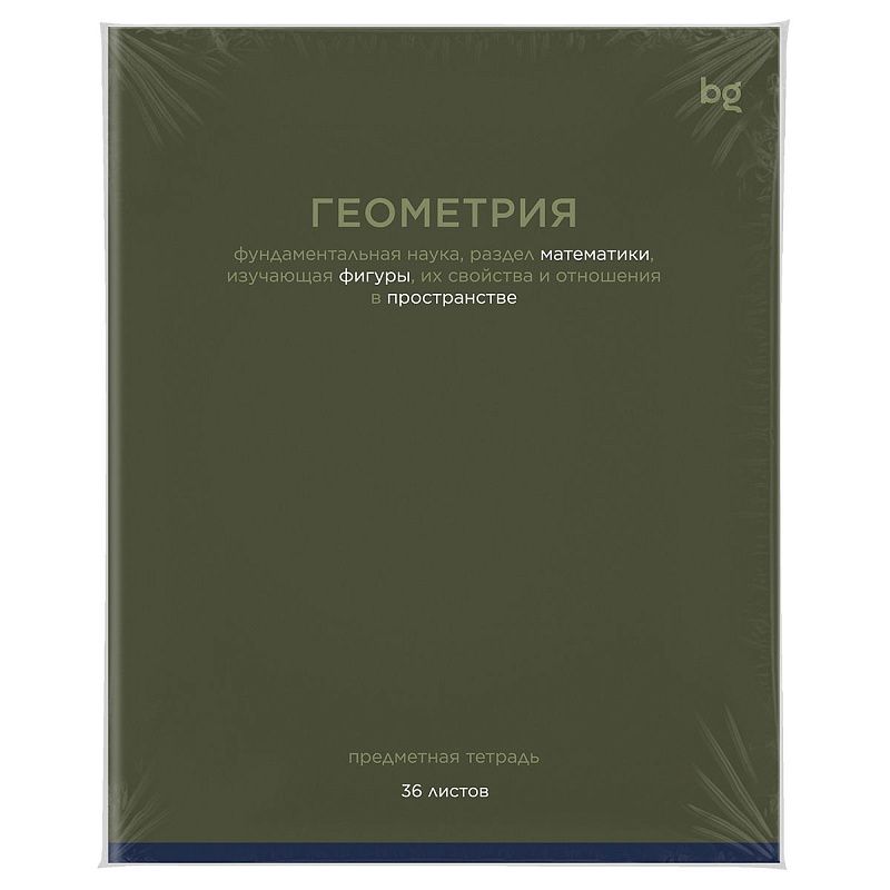 Тетрадь предметная 36л. BG "Сolor balance" - Геометрия, эконом