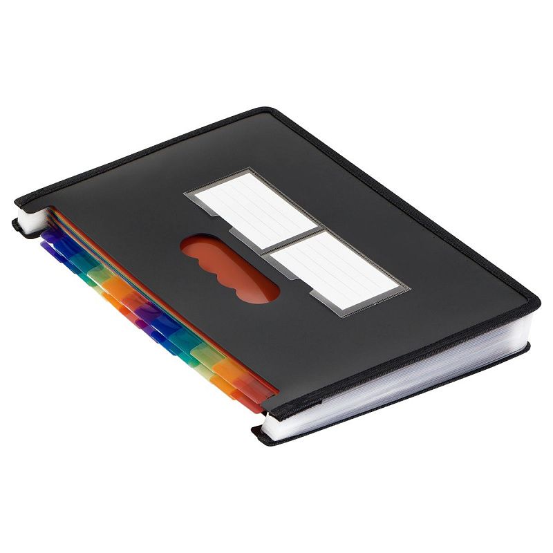 Лоток-органайзер для хранения документов СТАММ А4, 25 отделения,  черный 