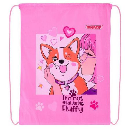 Мешок для обуви ПИФАГОР, 1 отделение, 40х32 см, Fluffy akita, 272385 