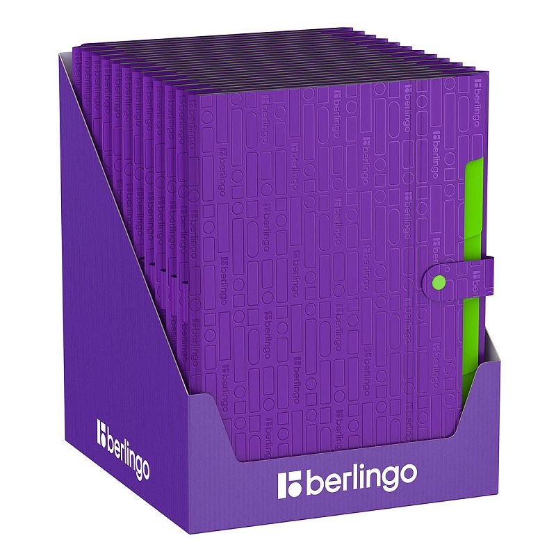 Папка 5 отделений Berlingo "Your Way", А4, 600мкм, на кнопке, фиолетовая 