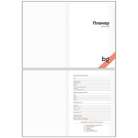 Планер школьный 1-11 кл. 64л. (твердый) BG "Черный", матовая ламинация, тиснение фольгой
