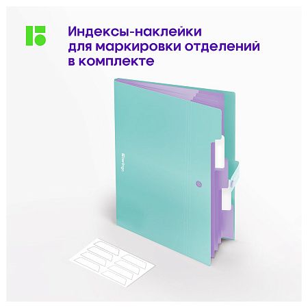 Папка 5 отделений Berlingo "Haze", А4, 600мкм, на кнопке, мятная, софт-тач 