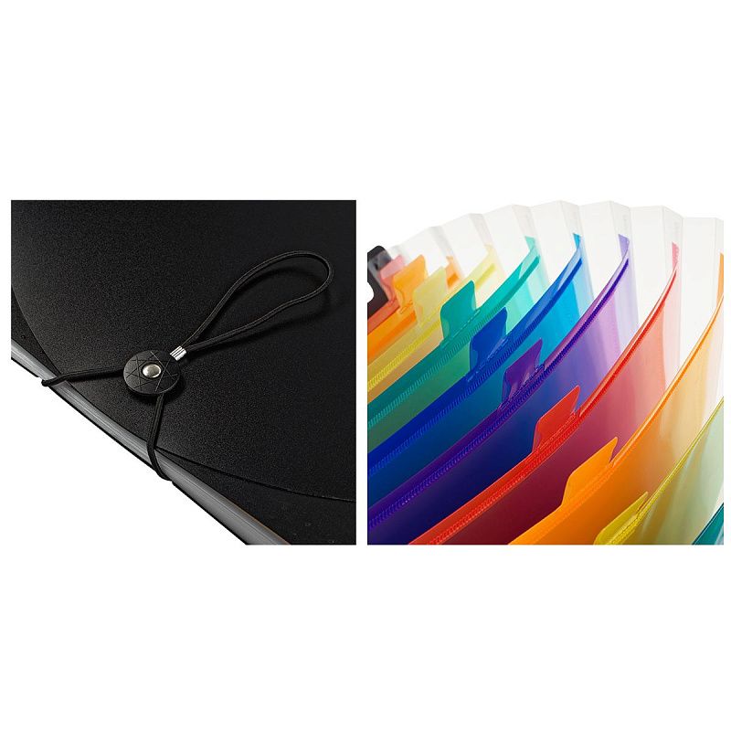 Папка-органайзер для хранения документов СТАММ А4, 13 отделений,  черный 