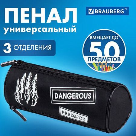 Пенал BRAUBERG, 3 отделения, нейлон, 21х7х7см, Claws, 272307 