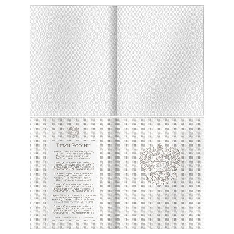 Дневник 1-11 кл. 40л. (твердый) BG "Черный", матовая ламинация