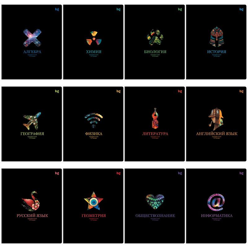 Комплект (12 шт.) предметных тетрадей 48л. BG "Информационное поле", soft-touch ламинация, выб. лак