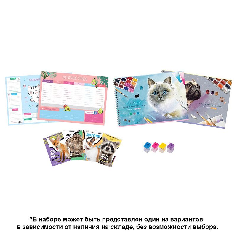 Набор первоклассника ArtSpace, универсальный, в подарочном коробе, 32 предмета 