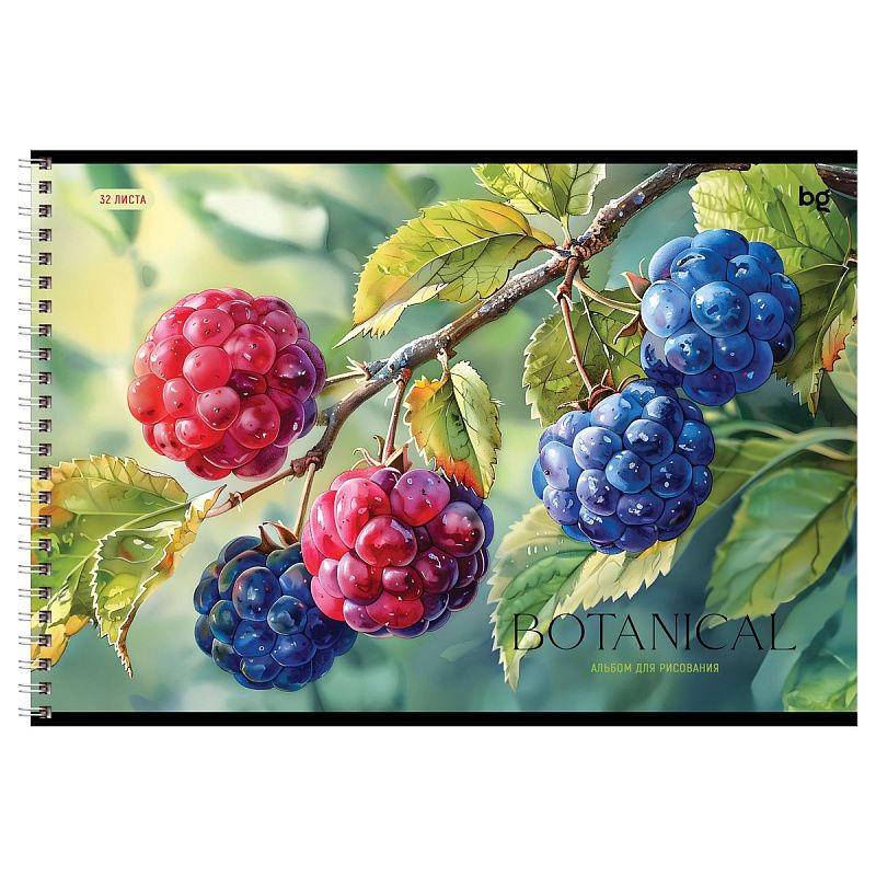 Альбом для рисования 32л., А4, на гребне BG "Botanical"
