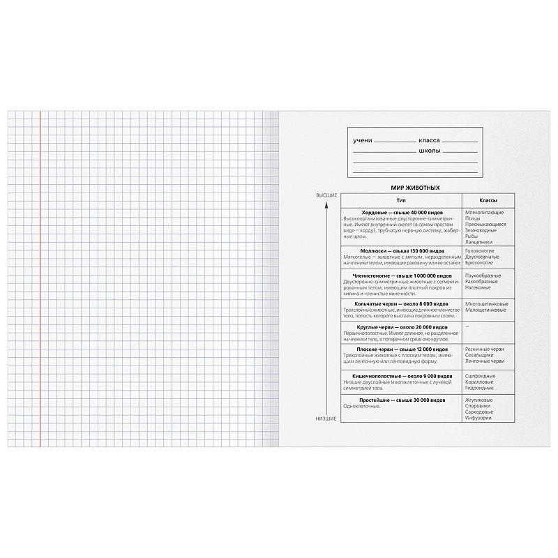 Тетрадь предметная 48л. BG "Юный гений" - Биология, эконом