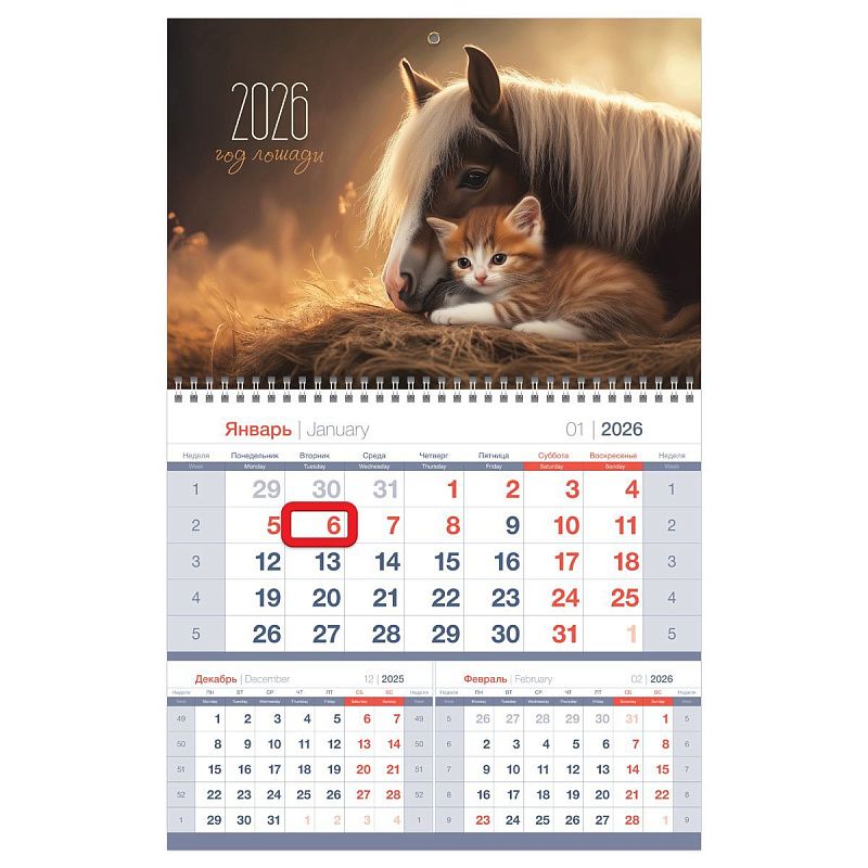 Календарь квартальный 1 бл. на 1 гр., 295*475 мм BG Mono premium "Дружба", с магнитным бегунком, 2026г.