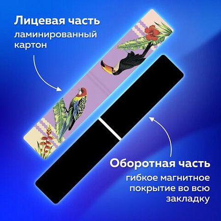 Закладки для книг МАГНИТНЫЕ, "TROPICS", набор 12 шт., 60x20 мм, BRAUBERG, 113172 