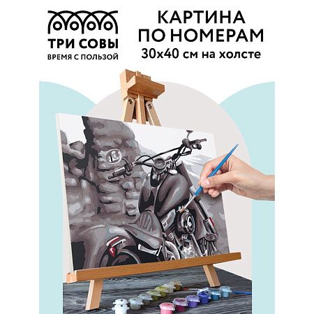 УЦЕНКА - Картина по номерам на холсте ТРИ СОВЫ "Байк", 30*40, с акриловыми красками и кистями