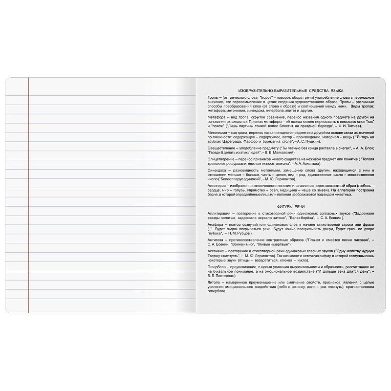 Тетрадь предметная 48л. BG "В гранях разума" - Литература, матовая ламинация