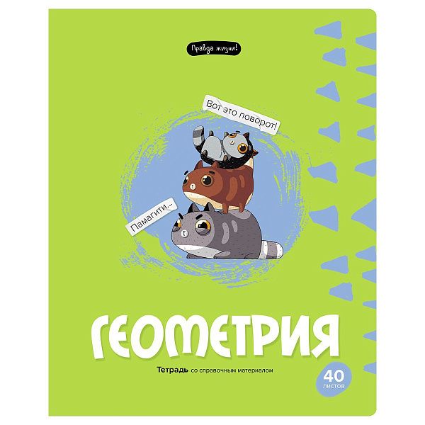 Тетрадь предметная 40л. BG "Правда жизни" - Геометрия