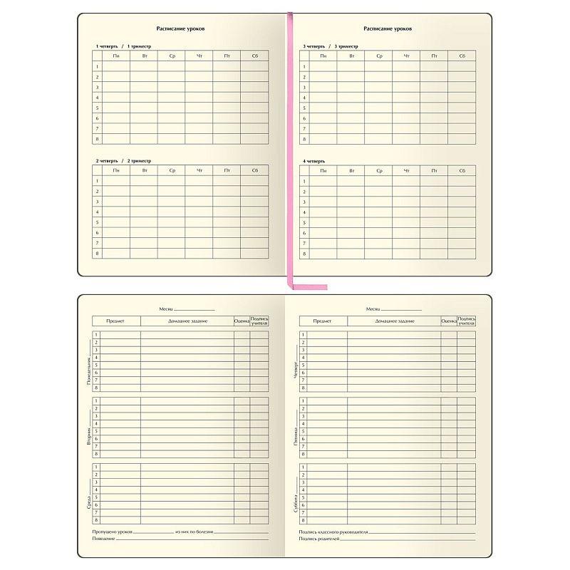 Дневник 1-11 кл. 48л. (твердый) BG "Catris", иск. кожа (балакрон), печать, ляссе