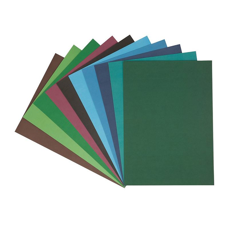 Картон цветной А4 двустор., Мульти-Пульти, 10л., 20цв., мелованный, в папке, "Приключения Енота"